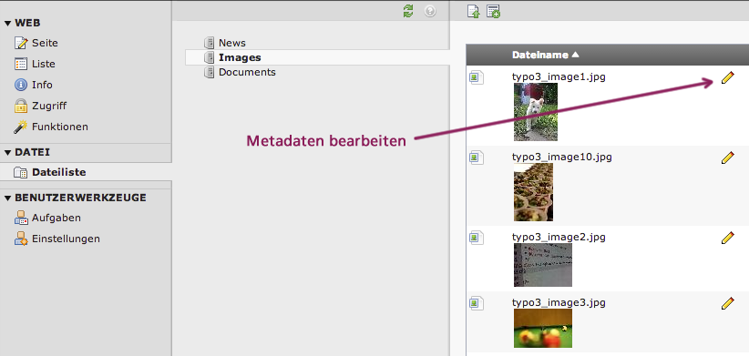 Bildschirmausschnitt TYPO3 CMS - Modul Dateiliste