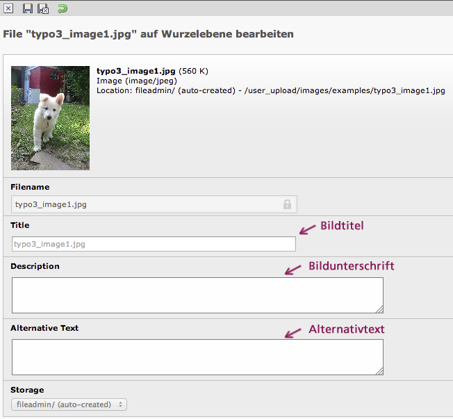 Bildschirmausschnitt TYPO3 CMS - Metadaten bei Bildern