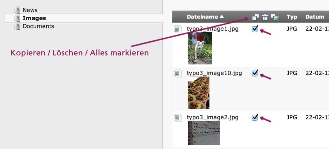 Bildschirmausschnitt TYPO3 CMS - Dateiliste mit zusätzlichen Bearbeitungselementen